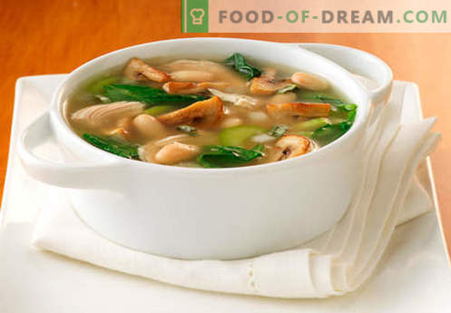 Sopa em caldo de cogumelos - as melhores receitas. Como corretamente e saboroso cozinhar sopa em caldo de cogumelos.