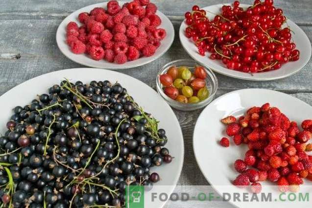 Compota de frutas sortidas - sabor do jardim de verão