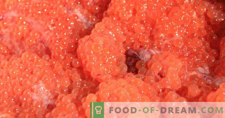 Como conservar o caviar vermelho em casa de forma adequada e saborosa