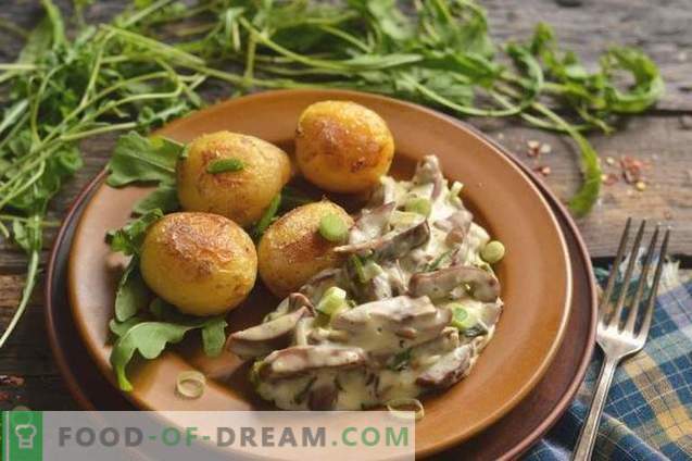 Свински бубрези во кисела павлака со кромид и компири