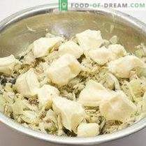 Salada de peixe com bolachas de aipo e farinha de centeio