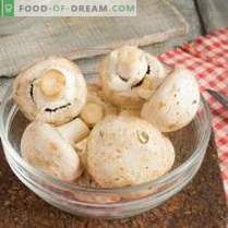 Feijão Estufado com Cogumelos