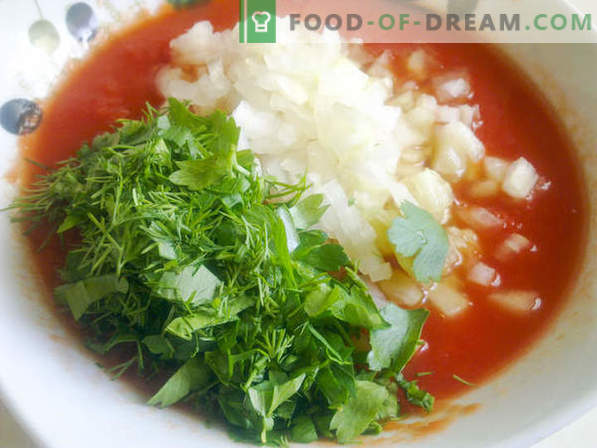 Receita de Gaspacho - Prepare uma sopa fria de tomate de acordo com uma receita espanhola
