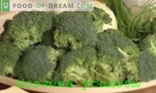 Cozinhar Pratos de Repolho de Brócolis