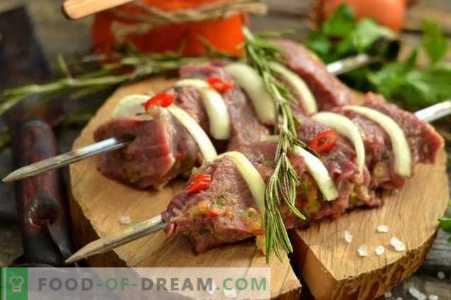 Kebab de carne de vaca suculenta