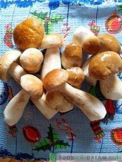 Cogumelos brancos marinados com canela