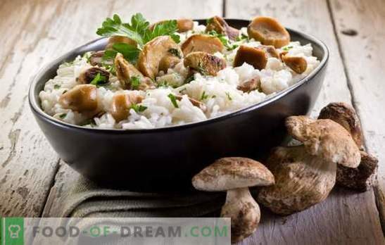 Risoto de cogumelos - os segredos e sutilezas da culinária italiana. Receitas de delicioso risoto com cogumelos