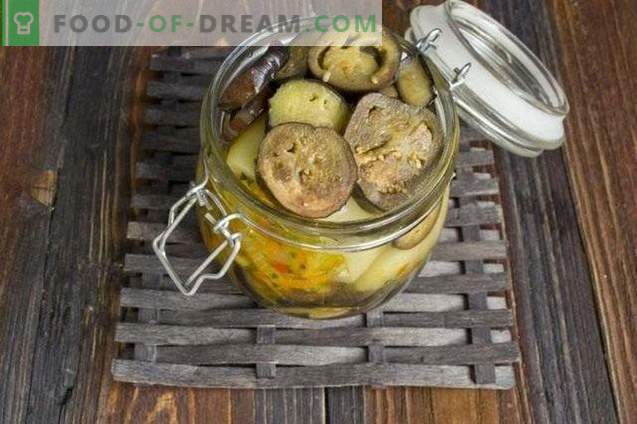 Prato de vegetais de pimentos recheados com berinjelas para o inverno