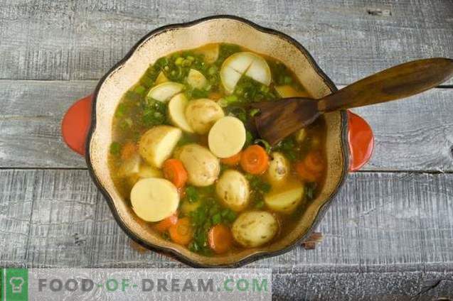 Sopa de goulash de frango com batatas e cebolas verdes