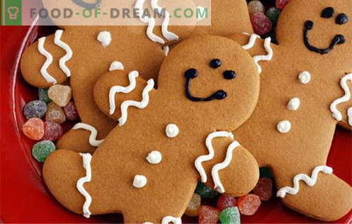 Gingerbread cookies - the best recipes. How to cook gingerbread cookies.