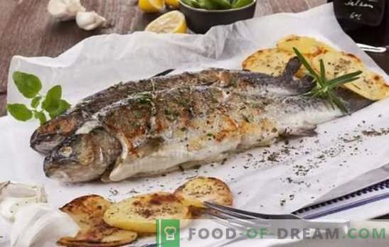 Seja pego, peixe - tudo é delicioso na grelha! Receitas de peixe grelhado e peixe do rio: ajuda culinária para pescadores e amantes de peixes deliciosos
