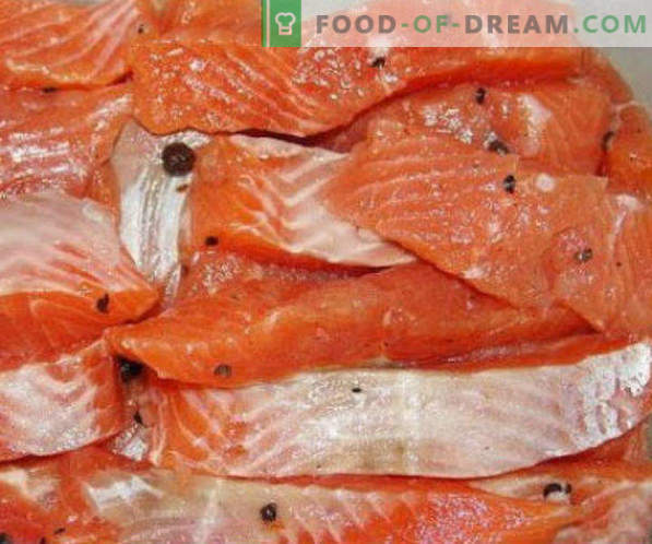 Salga de peixe vermelho em receitas caseiras e recomendações
