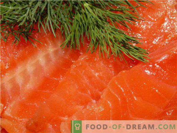 Salga de peixe vermelho em receitas caseiras e recomendações