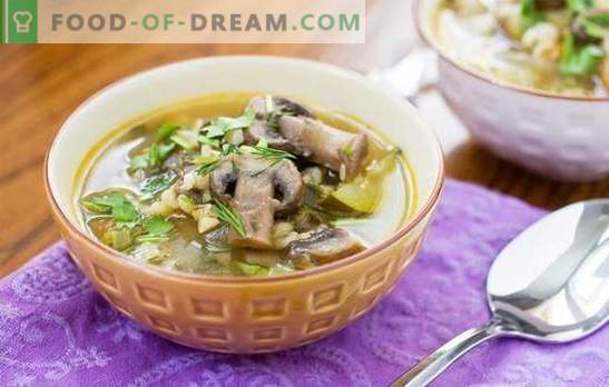 Sopa de cogumelos com cevadinha é um prato saudável e fácil de cozinhar. Receitas originais de sopa de cogumelos com cevadinha