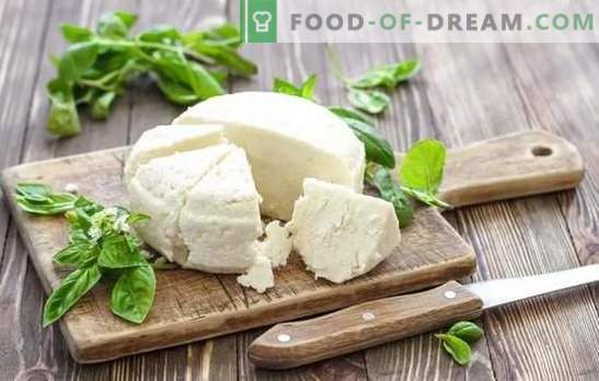 O queijo de leite azedo é um produto lácteo natural. Variantes de cozinhar queijo de iogurte em casa