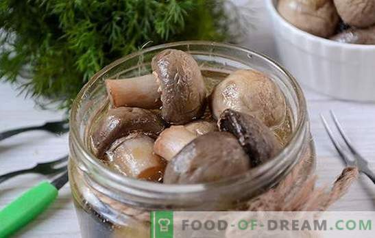 Champignon instantâneo marinado: o segredo da marinada de vinagre. Foto-receita para a preparação de champignons marinados