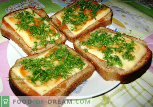 Sanduíches de queijo são as melhores receitas. Como preparar rapidamente e saborosos sanduíches com queijo.