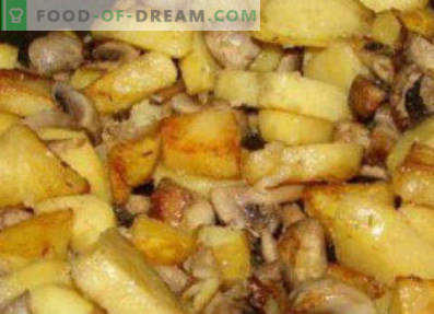 Maslata frito com batatas, receitas culinárias
