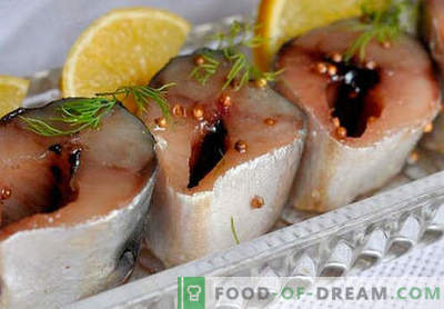 Würzige Makrele - die besten Rezepte. Wie man würzige Makrelen richtig und lecker kocht.