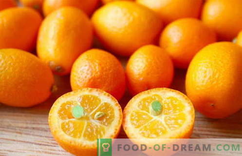 Kumquat - propriedades úteis e uso na culinária. Receitas com kumquat.