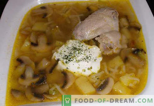 Sopa de caldo de galinha - as melhores receitas. Como corretamente e saboroso cozinhar sopa em caldo de galinha.