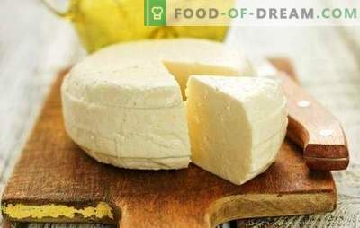Homemade Suluguni - a recipe from the heart for the lovers of cheese making. How to make suluguni cheese at home?