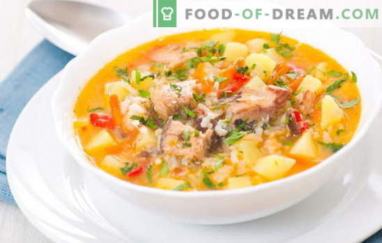 Sopa de peixe com arroz é um primeiro prato leve e saboroso para o almoço. As melhores receitas para cozinhar sopa de peixe com arroz