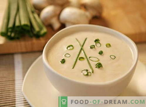Sopa cremosa - as melhores receitas. Como corretamente e cozinhar sopa de creme.