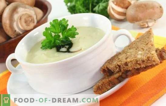 Sopa de cogumelos com queijo derretido é um prato imerecido! Receitas melhores sopas de cogumelos com queijo derretido