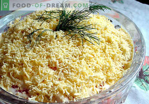 Salada com queijo derretido - uma seleção das melhores receitas. Como corretamente e saborosa salada cozida com queijo derretido.