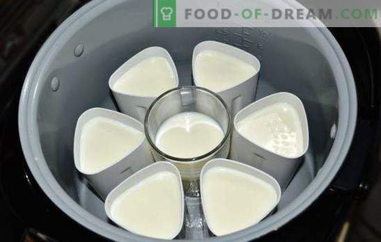 O iogurte em um pote do jarro de barro em jarros é uma iguaria saborosa e saudável. Variedades de iogurte do multicooker em frascos