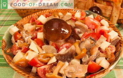 Cogumelos com tomates são as melhores receitas. Métodos de cozinhar cogumelos com tomates: fritar, ferver, ferver, assar, marinar