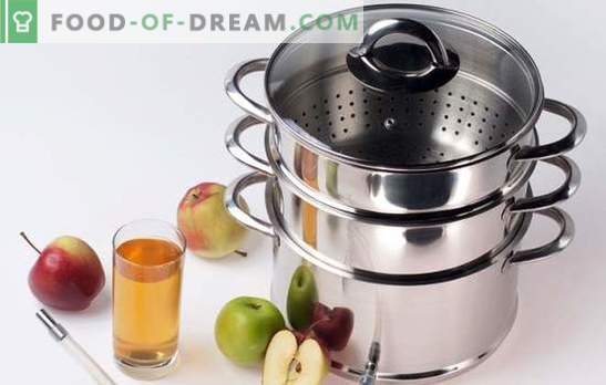 Como fazer suco de maçãs em um espremedor de frutas para o inverno? Muito simples! Sutilezas e truques: com o que e como cozinhar o suco no panela de maçã