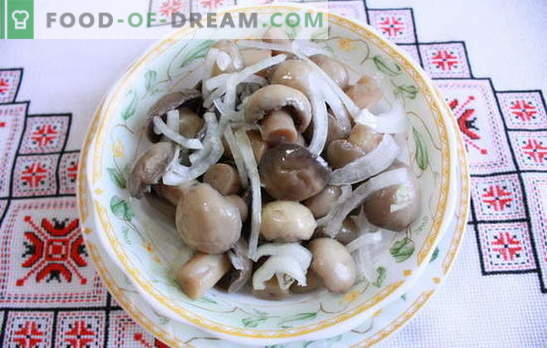 Champignon marinado em casa - deliciosos cogumelos! Como conservar champignons em casa: rápido, saboroso