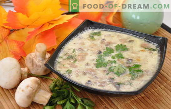 Extremamente simples e excepcionalmente saborosa - sopa de cogumelos com batatas. Seleção de sopas de champignon com batatas