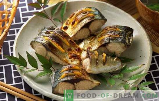 pratos de peixe Quaresma: festivo e todos os dias. Receitas de pratos de peixe de lenten: sopas, costeletas, saladas, almôndegas, assados ​​