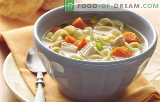 Sopas simples para todos os dias - 7 melhores receitas. Como preparar uma sopa simples para todos os dias: cogumelo, frango, peixe, etc.