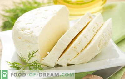 Najlepsze przepisy na domowy ser z mleka krowiego. Ser z mleka krowiego: podstawowe zasady wytwarzania sera domowej roboty