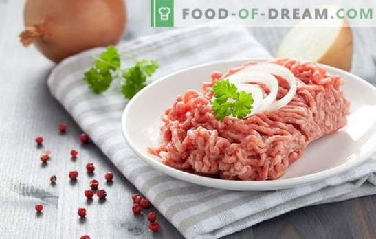 Pratos de carne picada - a receita para o produto semiacabado correto. Pratos de carne picada caseiros: receitas de comida deliciosa