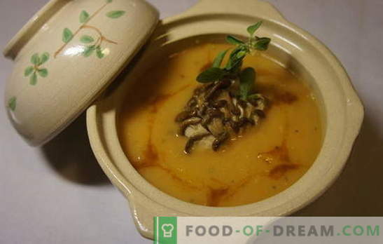 Sopa de Ostra - as melhores receitas do autor. Cozinhar sopas de cogumelos ostra: com macarrão, queijo, ovos, bolinhos, corações, cereais, lentilhas