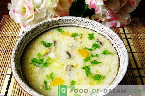 Sopas com arroz - as melhores receitas. Como corretamente e saboroso cozinhar sopa com arroz.