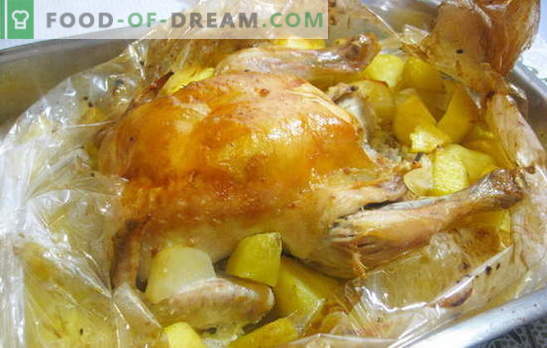 Um frango em uma manga com batatas no forno é super fácil! Receitas de frango na manga com batatas no forno inteiro e fatias