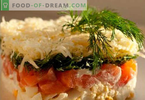 Pelliccia d'insalata con salmone - le ricette giuste. Cappotto da insalata veloce e gustoso con salmone.