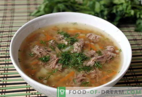 Sopa de trigo mourisco - as melhores receitas. Como cozinhar sopa de trigo sarraceno e saboroso.