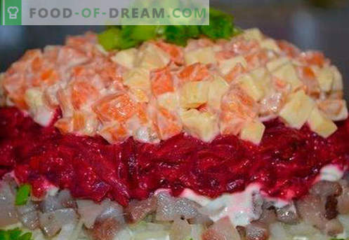Salada em camadas com salmão - as receitas certas. Salada cozida rápida e saborosa em camadas com salmão.