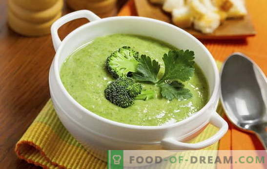 Sopa creme de brócolis: receitas de dieta e nutrição básica. Variedade de receitas de creme - sopa de brócolis simples a complexo