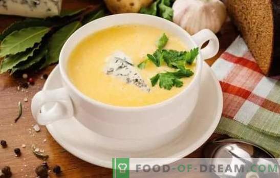 Sopa de queijo com receita passo-a-passo de queijo processado e queijo duro. Receitas sopa de queijo com legumes, frango, arroz, creme