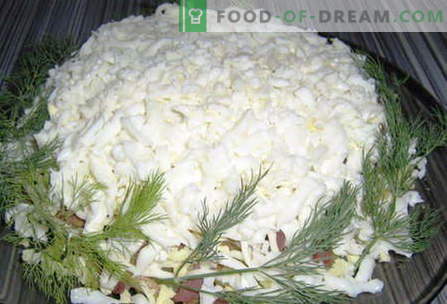 Saladas brancas - as melhores receitas. Como corretamente e deliciosamente cozido salada branca.