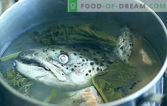 Sopa de cabeça de peixe - receitas e subtilezas culinárias. Sopas de peixe com arroz, milho, legumes