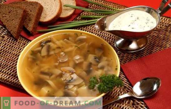 Sopa de cogumelos em um fogão lento - para quem aprecia comida deliciosa. Cozinhar rápido, nutritivo e saboroso sopas de cogumelos em um fogão lento, sem o incômodo